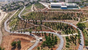 Büyükşehir’in ‘Yeşil Dönüşüm’ Hamlesi Karbon Yutak Alanı’nda Çalışmalar Sürüyor.