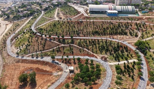 Büyükşehir’in ‘Yeşil Dönüşüm’ Hamlesi Karbon Yutak Alanı’nda Çalışmalar Sürüyor.