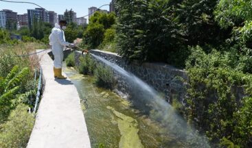Büyükşehir’den Sivrisinek ve Haşerelere Karşı Etkin Mücadele.