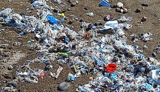 AKDENİZ SOS VERİYOR! TECE–DAVULTEPE SAHİLLERİNDE ÇEVRE VE SAĞLIK ENDİŞESİ.